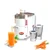 Kalsi 900W Domestic Carrot Juicer Mixer Grinder with Juicing & Blending Jars (Plastic Body)